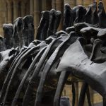 Mini jeux Dino : quel est ce jeu d&rsquo;argent avec les dinosaures ?
